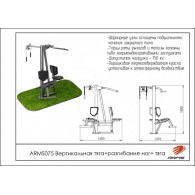 ARMS075 Вертикальная тяга и разгибание ног