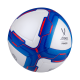 Мяч футбольный Primero №5 (BC20)