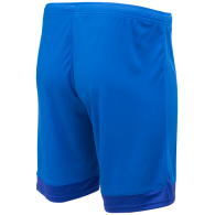 Шорты игровые DIVISION PerFormDRY Union Shorts, синий/темно-синий/белый, детские